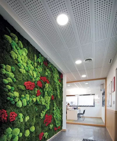 Bureaux Adomis